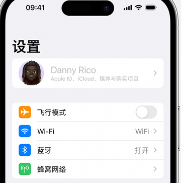 坡头appleID维修服务iPhone设置中Apple ID显示为灰色无法使用