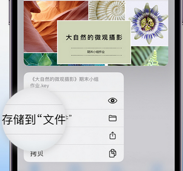 坡头apple维修中心分享iPhone文件应用中存储和找到下载文件