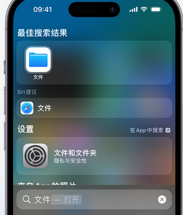 坡头apple维修中心分享iPhone文件应用中存储和找到下载文件