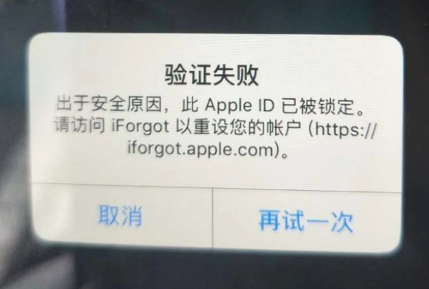 坡头iPhone维修分享iPhone上正常登录或使用AppleID怎么办 