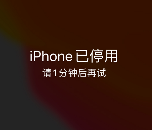 坡头苹果手机维修分享:iPhone 显示“不可用”或“已停用”怎么办？还能保留数据吗？ 