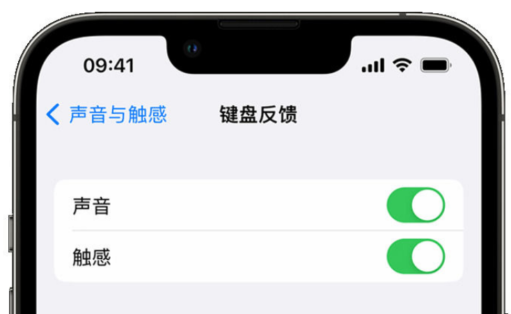 坡头苹果手机维修分享iPhone 14触感键盘使用方法 