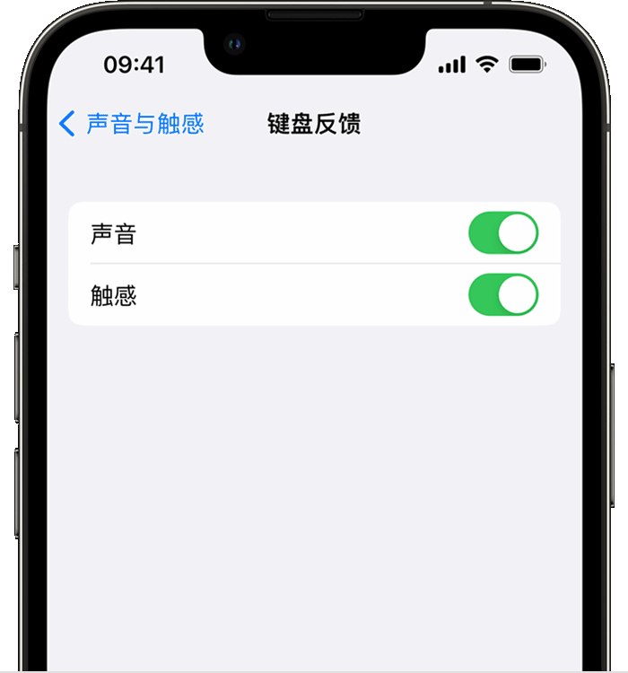 坡头苹果14维修店分享如何在 iPhone 14 机型中使用触感键盘 