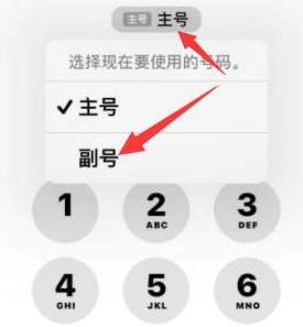 坡头苹果14维修店分享iPhone 14 Pro Max使用副卡打电话的方法 