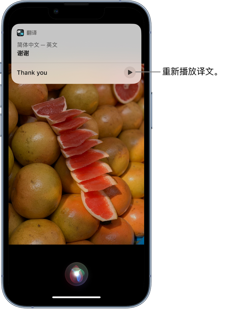 坡头苹果14维修分享 iPhone 14 机型中使用 Siri：了解 Siri 能帮你做什么 