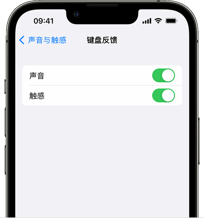 坡头苹果14维修分享iPhone 14 系列机型如何开启键盘声音或触感反馈 