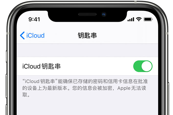 坡头苹果手机维修分享在 iPhone 上开启 iCloud 钥匙串之后会储存哪些信息 