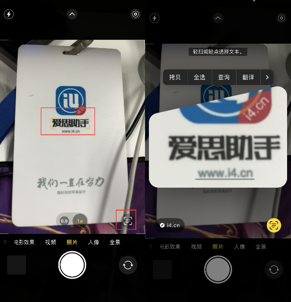 坡头苹果手机维修分享升级iOS 16后如何通过相机翻译文本 