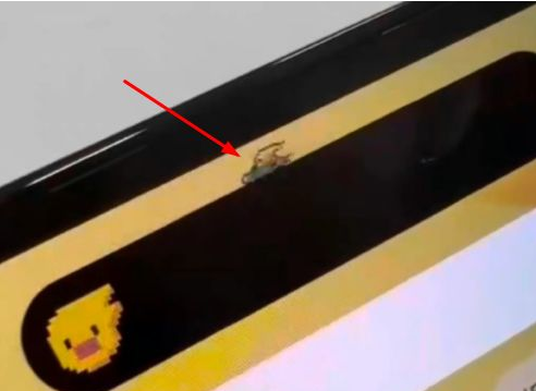 坡头苹果14维修分享iPhone 14 Pro Max灵动岛怎么养宠物 