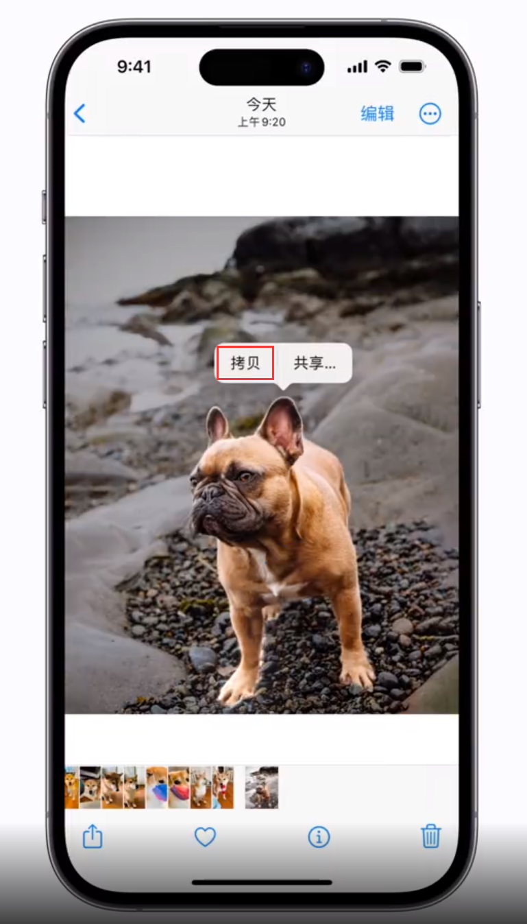 坡头苹果手机维修分享 iOS 16 自带一键抠图功能 