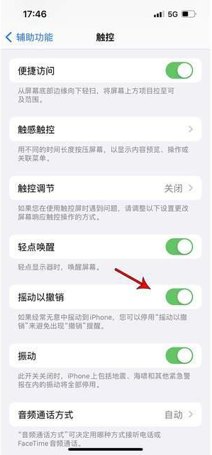 坡头苹果手机维修分享iPhone手机如何设置摇一摇删除文字 