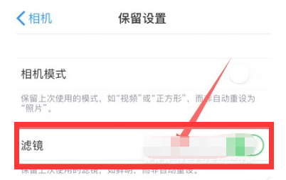 坡头苹果13维修分享iPhone13拍照有绿点是怎么回事 