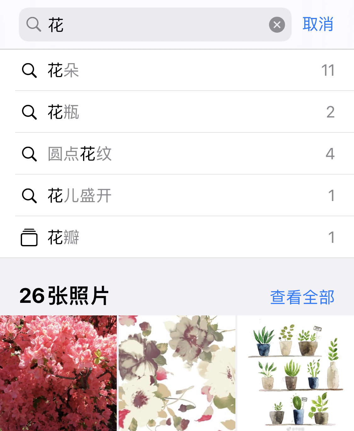 坡头苹果手机维修分享iPhone 小技巧 