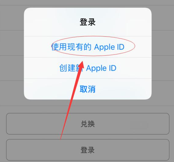 坡头苹果手机维修分享两台iPhone设备可以同时登录一个Apple ID吗 