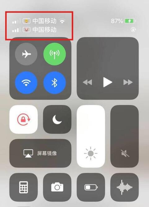 坡头苹果手机维修分享为 iPhone 12 双卡设置标签 